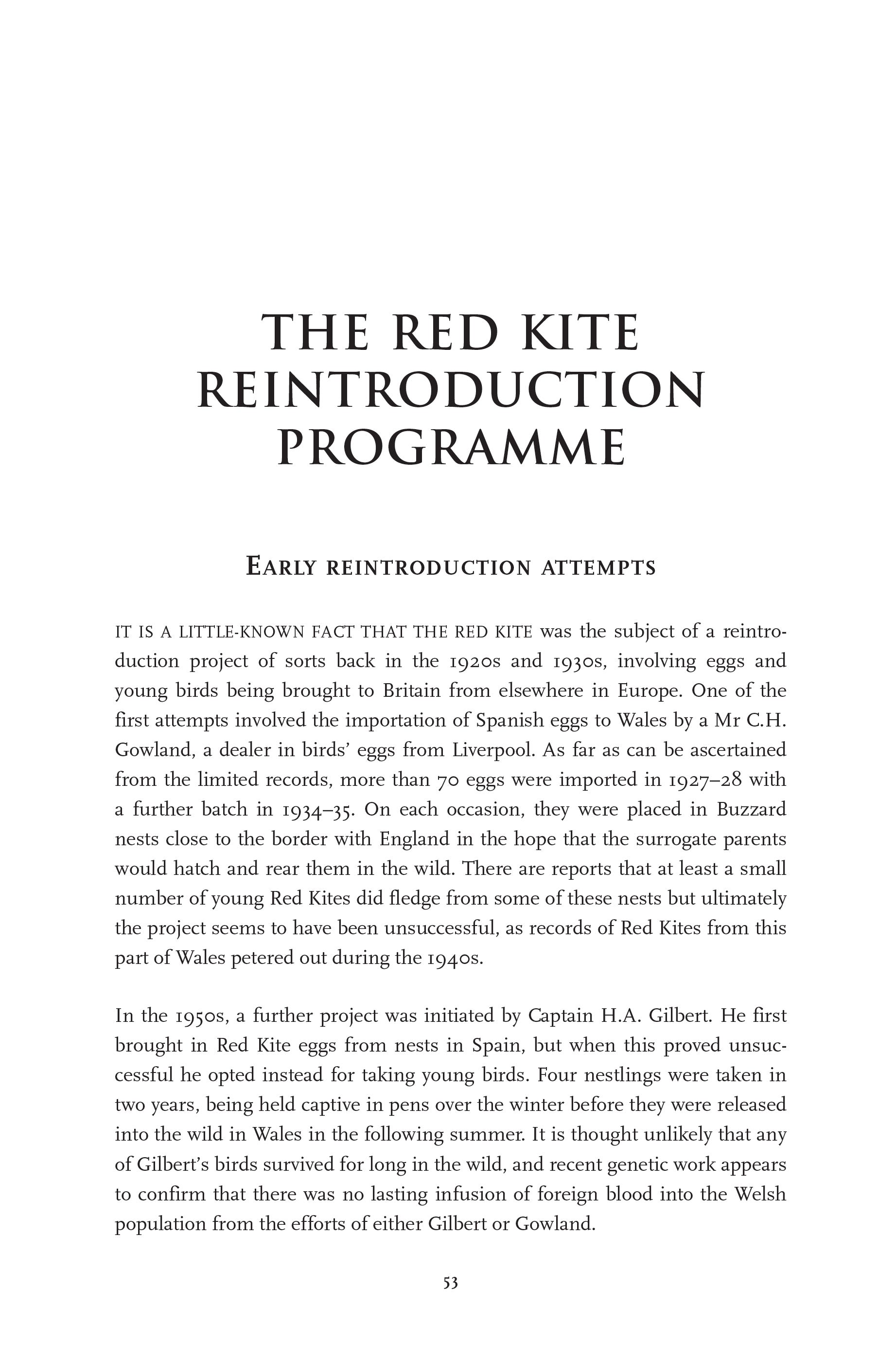 the inside story of the reintroduction of red kite in-depth