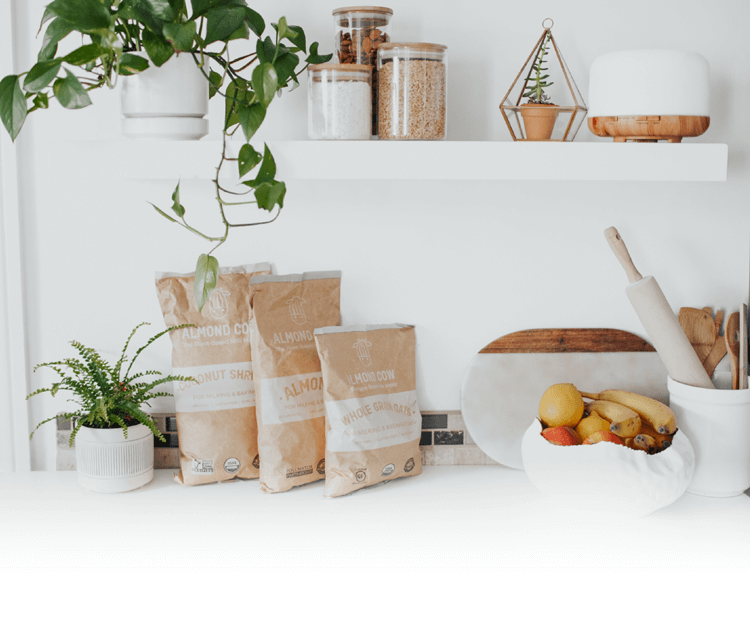 make your plant milk