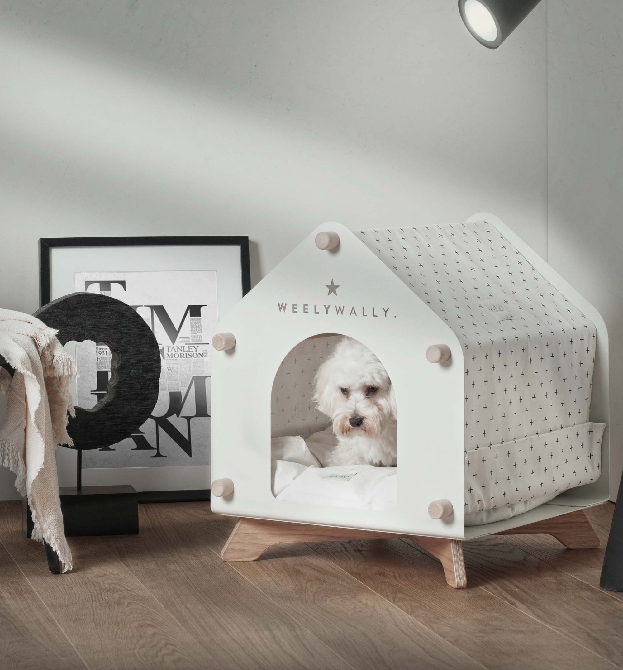  Creative Pet Room Design Ideas for a Cozy and Functional Space