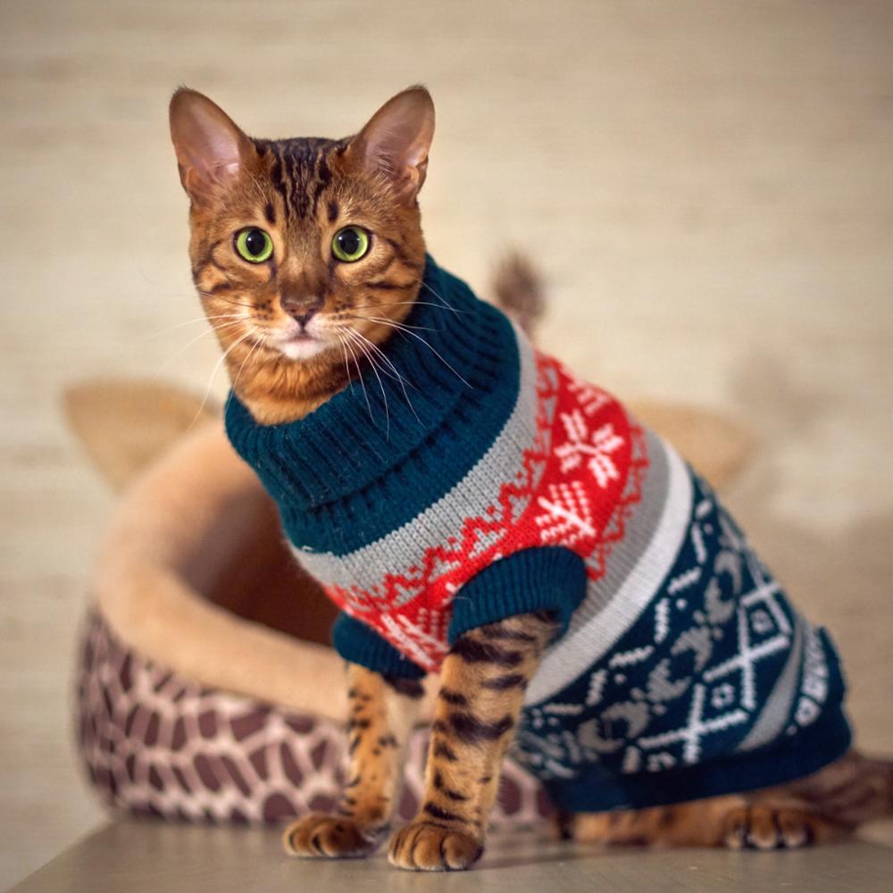  Personalized Cat Sweater: The Ultimate Fashion Statement for Cat Lovers