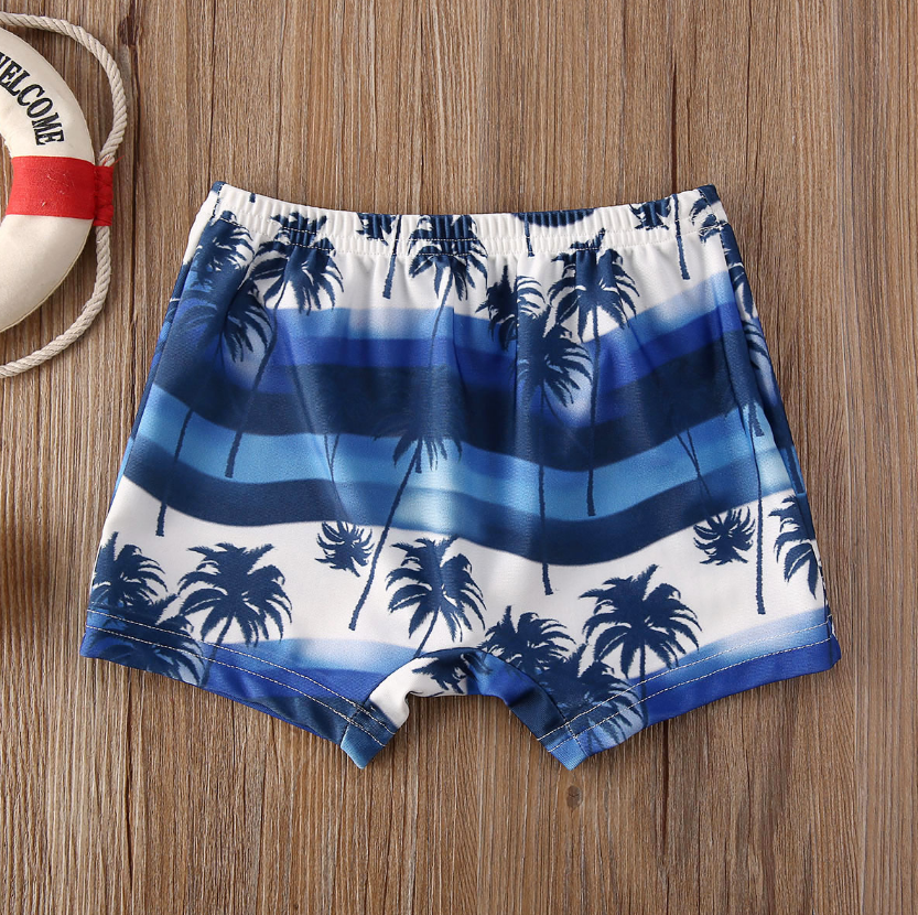 Blue Striped Swim Shorts