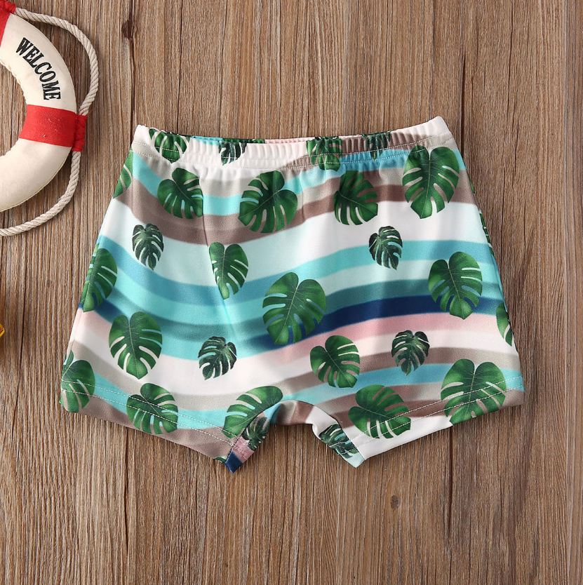 Blue Striped Swim Shorts