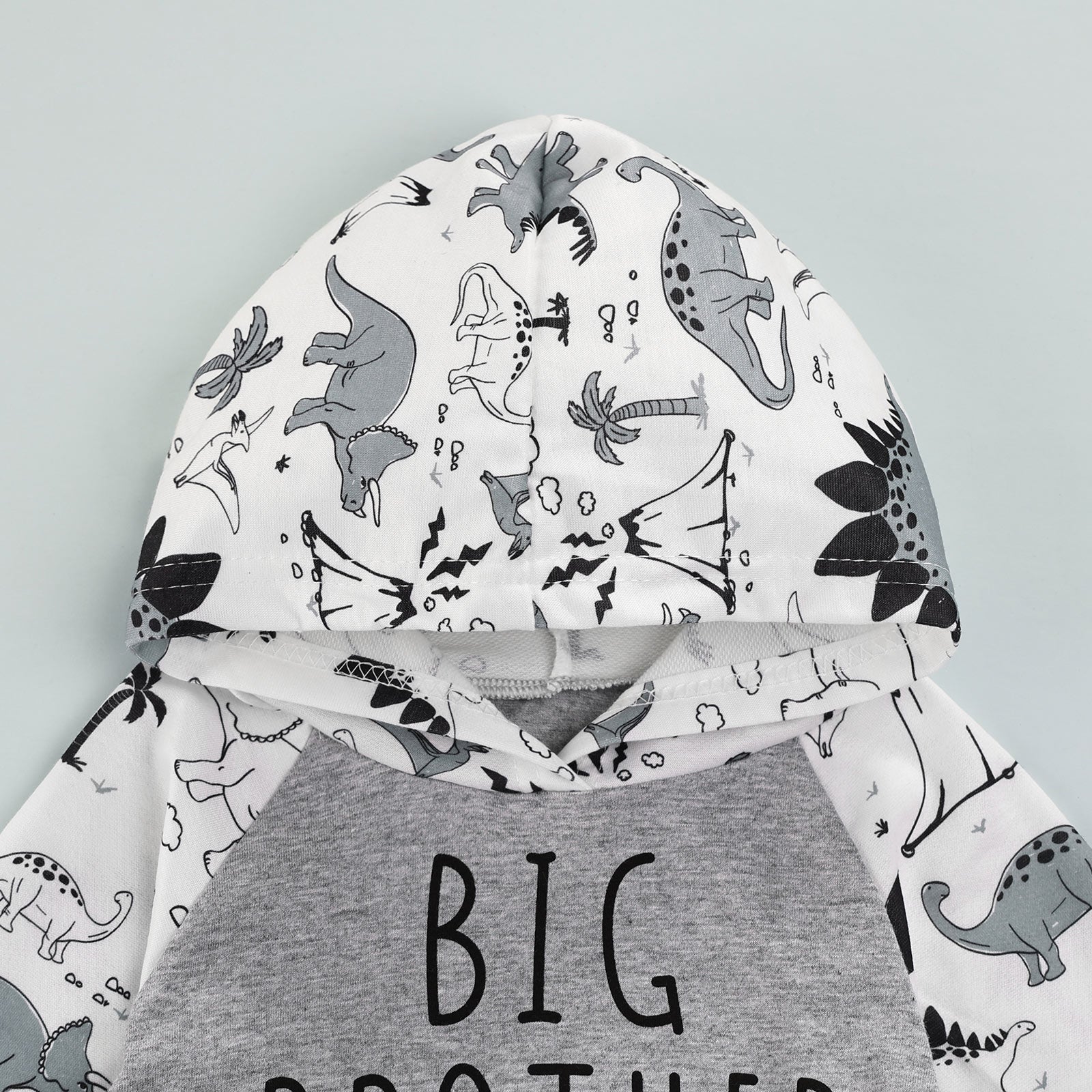 Big Brother Dinosaur Hooded Outfit