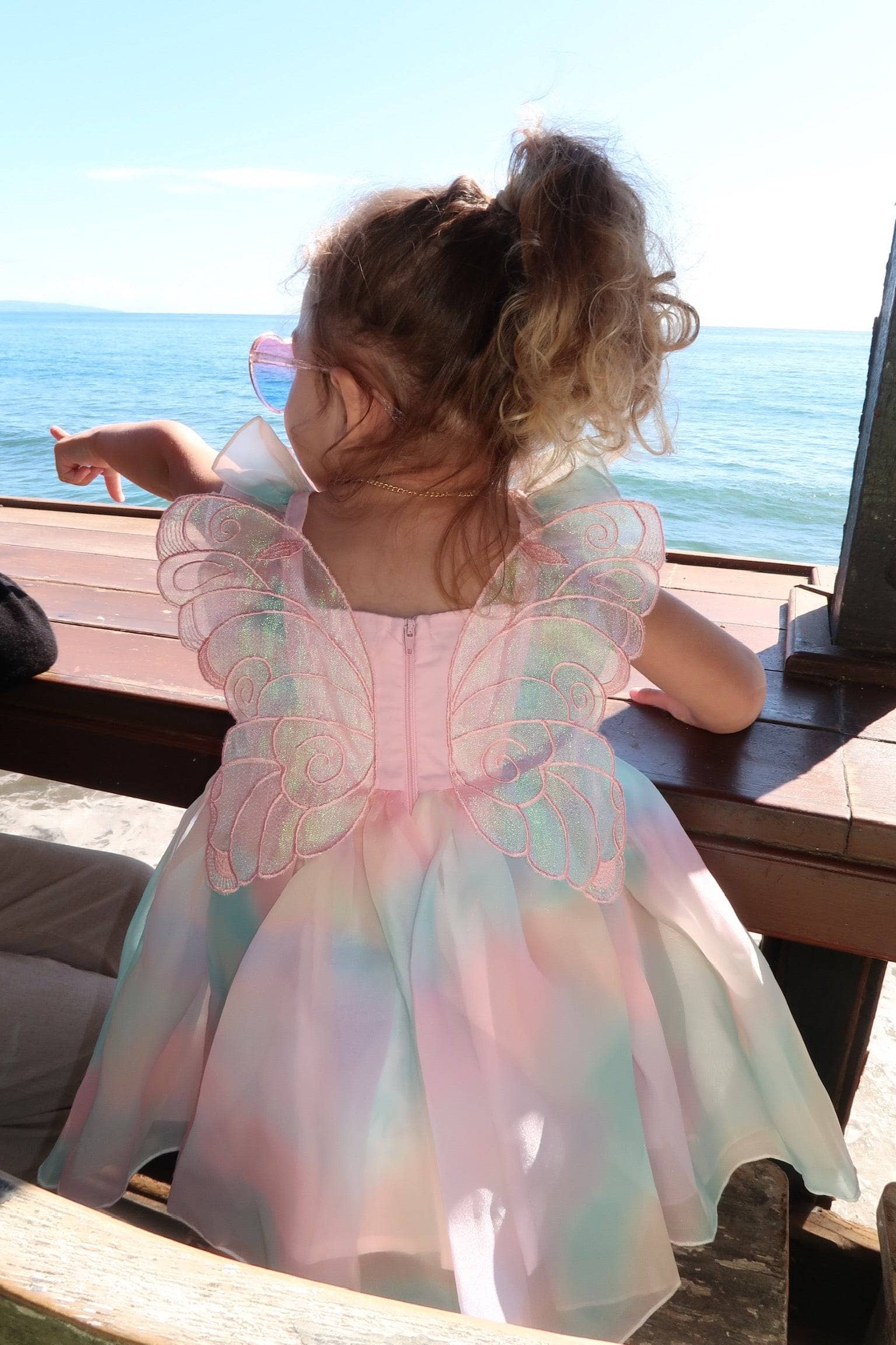 Ombre Butterfly Wing Dress