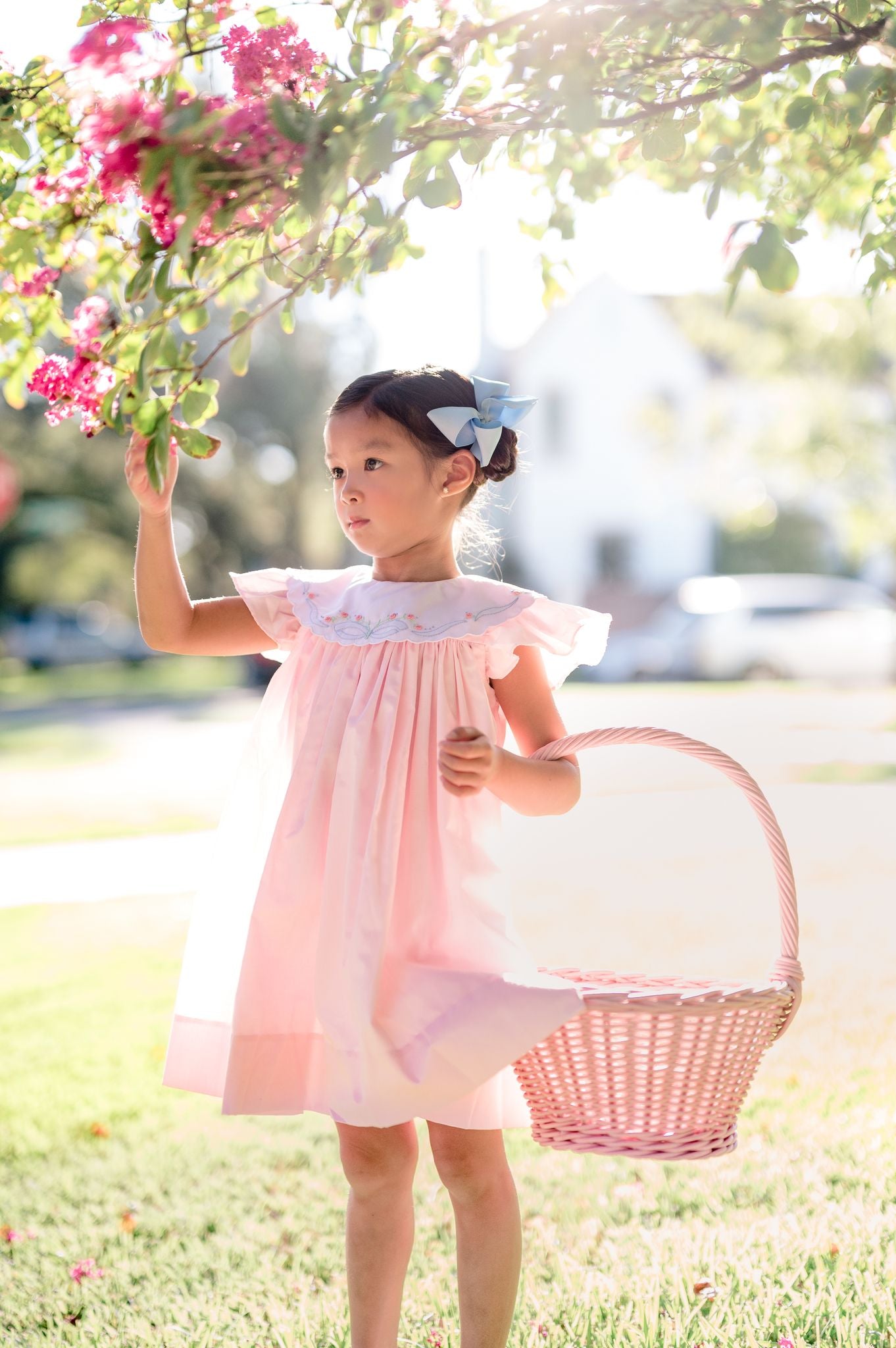 Paloma Dress Pink Shadow Embroidered