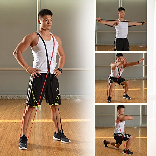 Set of 5 Pull Up Assist Resistance Bands for Stretch Mobility with Extra Handles