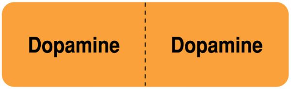 Medical Use Labels - DOPAMINE , I.V. Line Identification Label, 3