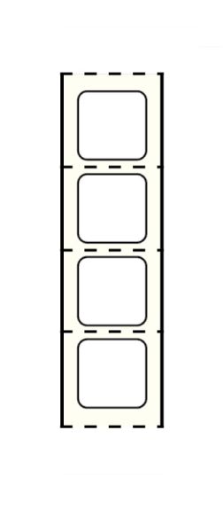 Medical Use Labels - Stainershield Printer Label , 1