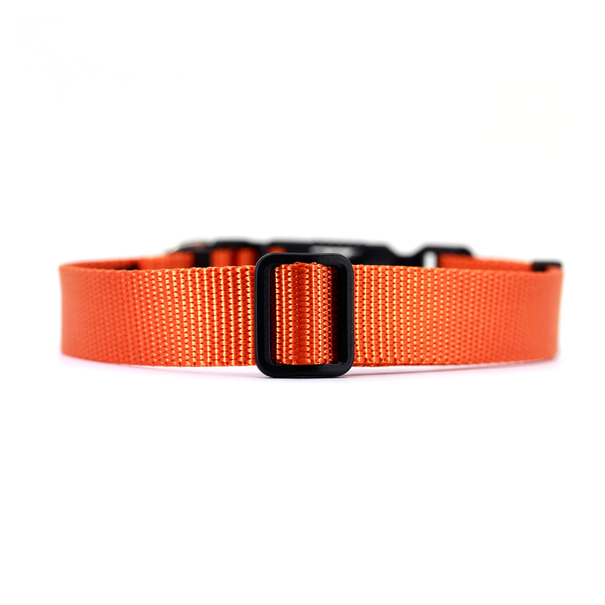 VBuckle Collar Orange