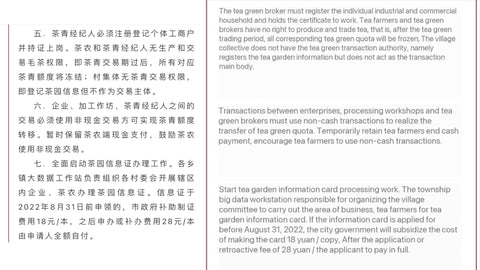 Fuding White Tea Circular 3