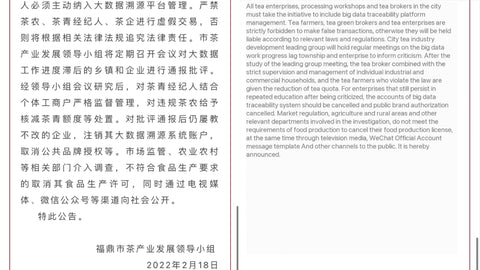 Fuding White Tea Circular 4