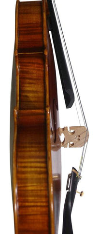 Model SRV1013 Concert Grade Solid Spruce & Ebony Made Violin Different Sizes with Accessories