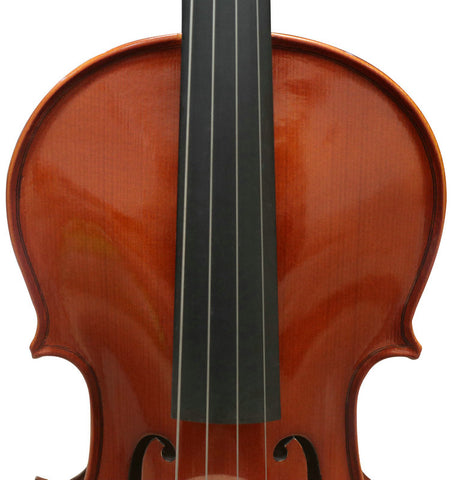 Wholesale Model SRVA1001 Professional Solid Spruce & Ebony Viola Different Sizes with Accessories