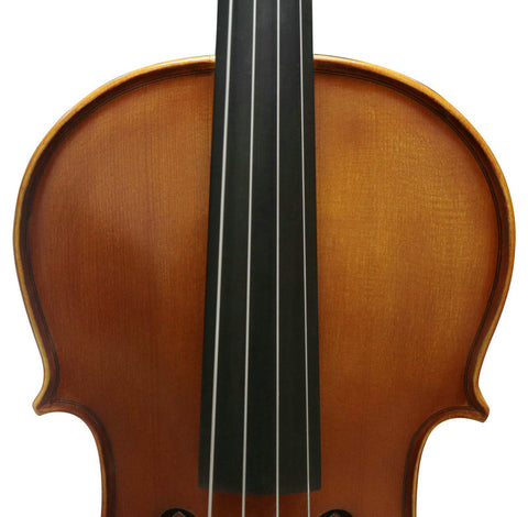 Wholesale Model SRVA1002 Professional Solid Spruce & Ebony Viola Different Sizes with Accessories