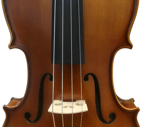 Wholesale Model SRVA1002 Professional Solid Spruce & Ebony Viola Different Sizes with Accessories