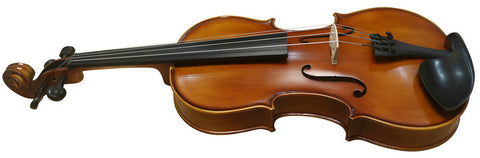Wholesale Model SRVA1002 Professional Solid Spruce & Ebony Viola Different Sizes with Accessories