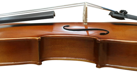 Wholesale Model SRVA1002 Professional Solid Spruce & Ebony Viola Different Sizes with Accessories