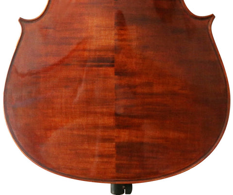 Model SRC1004 Professional Level Solid Spruce & Maple Bright Painting with Wood Grains Cello Different Sizes with Accessories