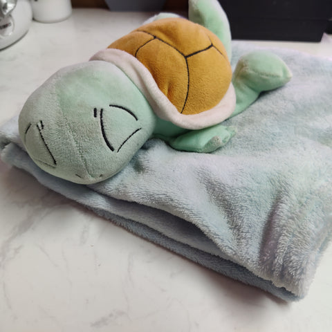 turtle blanket