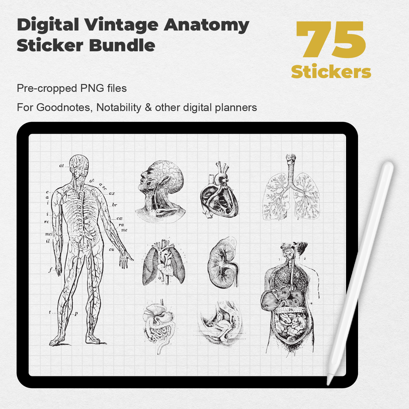 75 Digital Vintage Anatomy Sticker Bundle