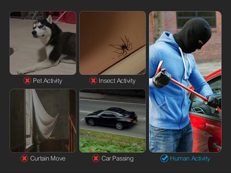 Intelligenter Identifikationsalarm