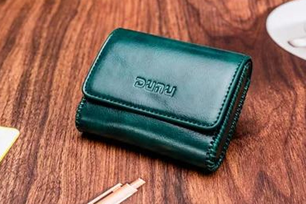 DUNU Original Leather Case