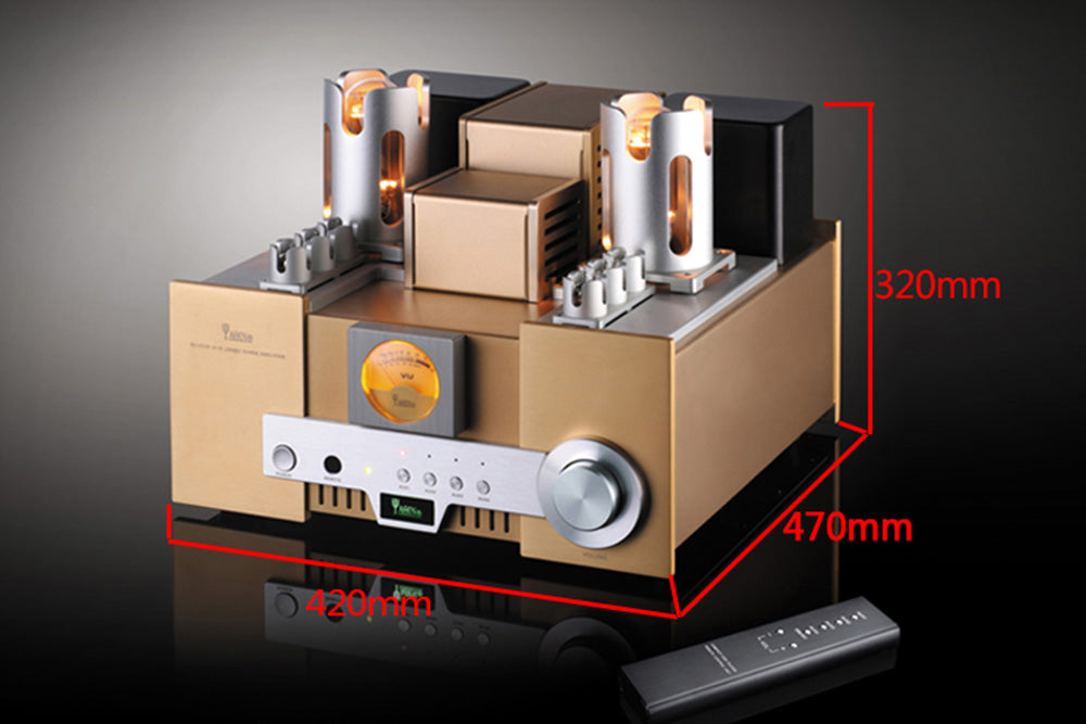 YAQIN MS650B 845 Tube Speaker Amplifier