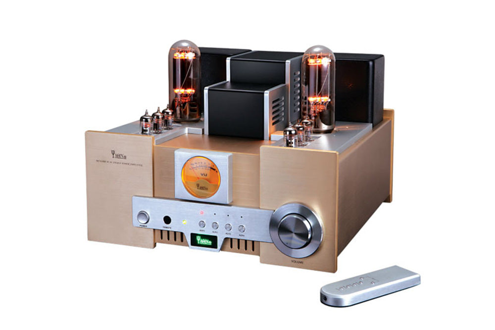 YAQIN MS650B 845 Tube Speaker Amplifier