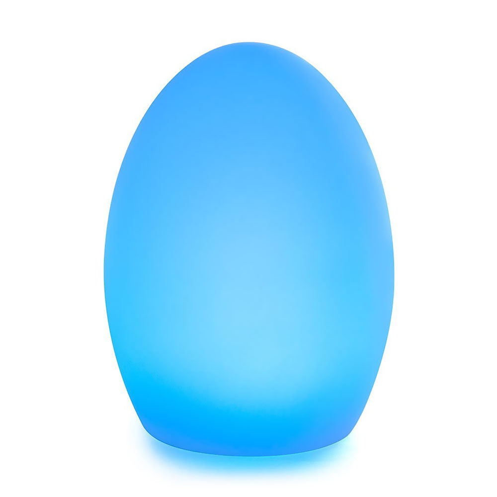  8-inch LED Egg Shaped Light 