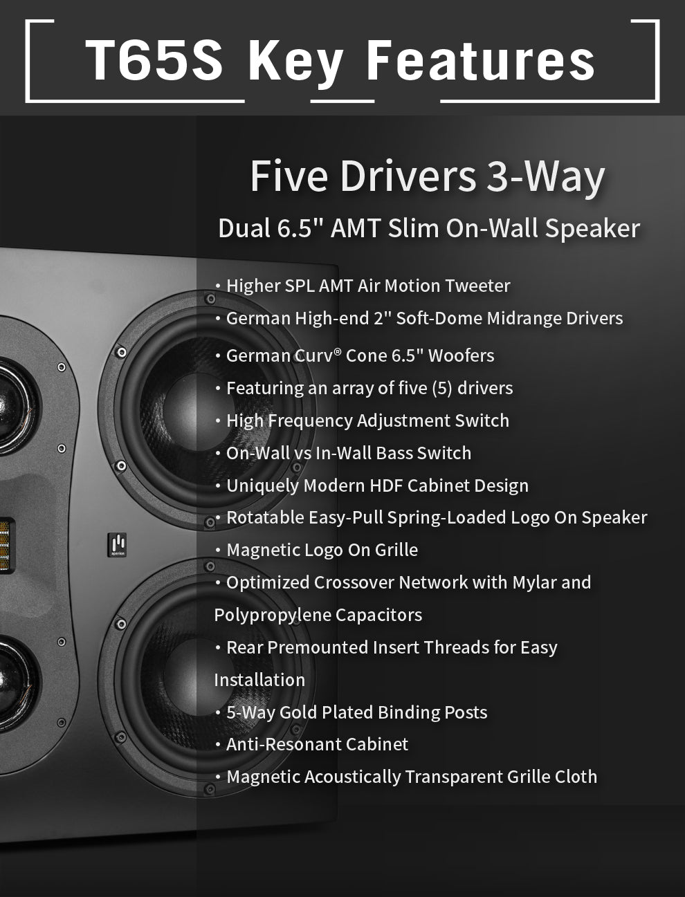 Aperionaudio Theatrus T65S Slim Cinema/Studio AMT Ribbon Tweeter Monitor Speaker