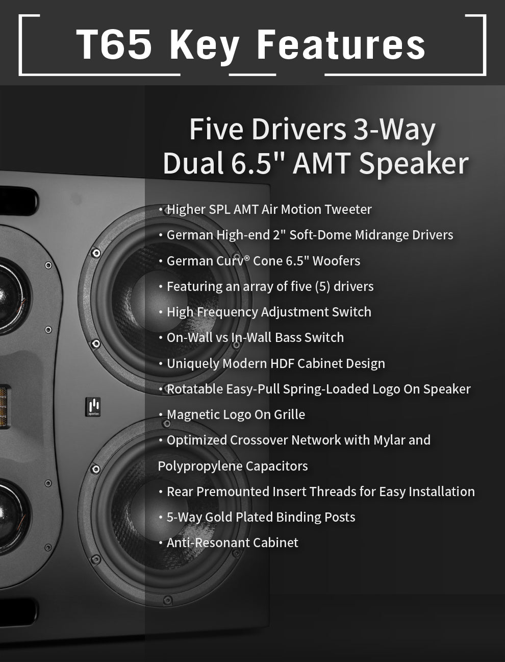 Aperionaudio Theatrus T65 Cinema/Studio AMT Ribbon Tweeter Monitor Speaker