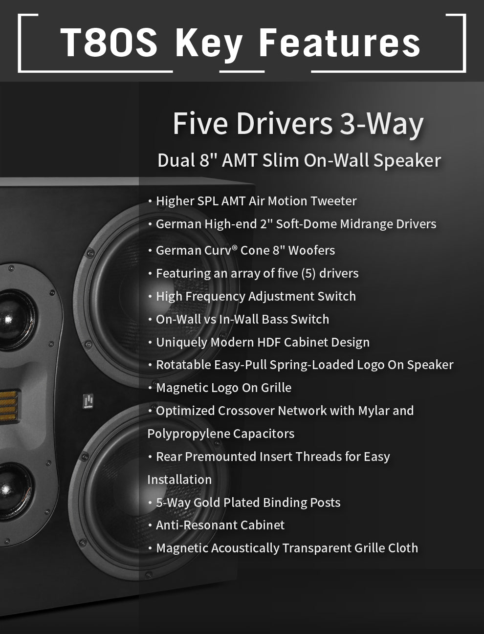 Aperionaudio Theatrus T80S Slim Cinema/Studio AMT Ribbon Tweeter Monitor Speaker