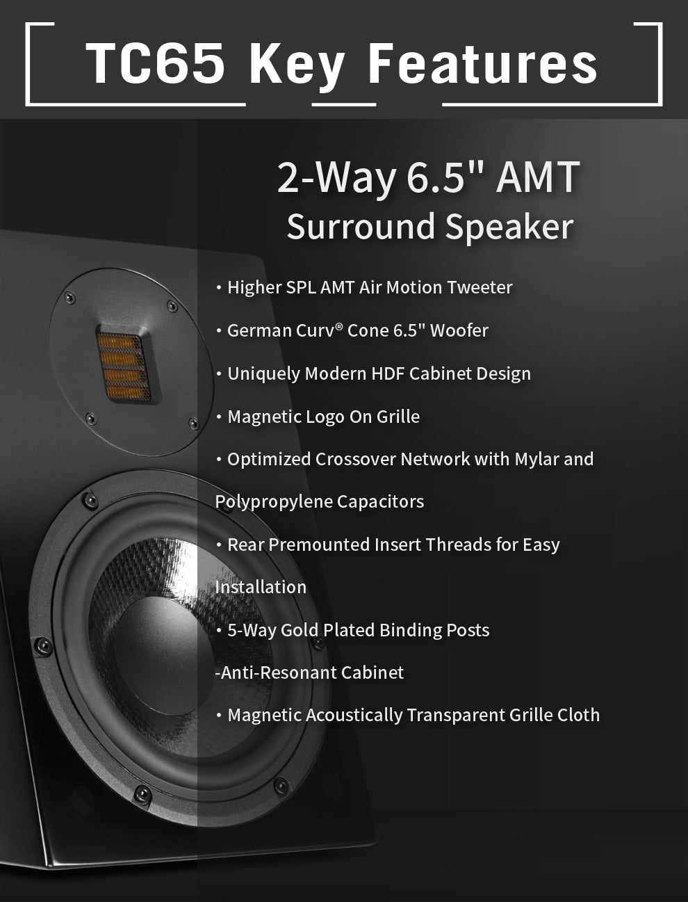 Aperionaudio Theatrus TC65 Cinema/Studio Surround AMT Ribbon Tweeter Surround Speaker