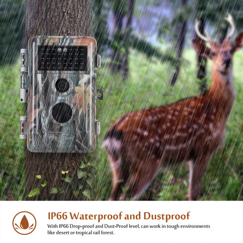 5% off - Discount Code for all trail cameras products at blazevideo.net