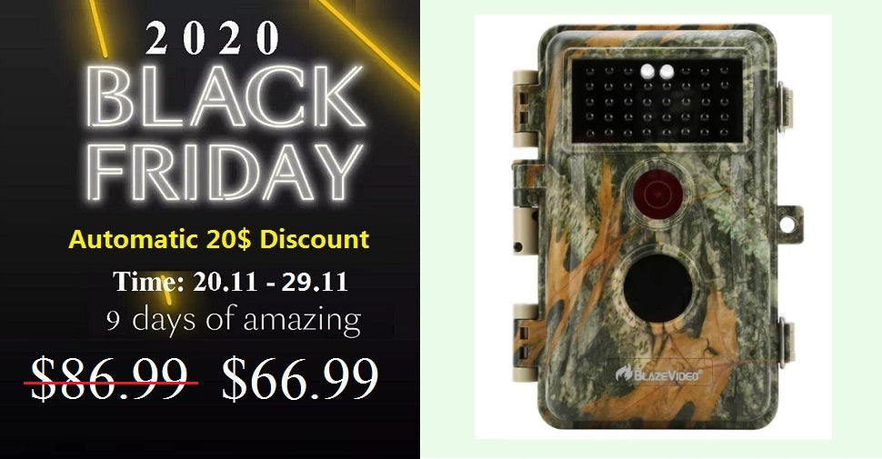 Automatic discount 20$ on BlazeVideo.net