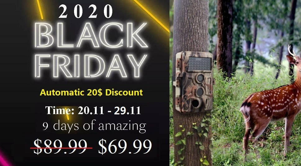 Automatic discount 20$ on BlazeVideo.net