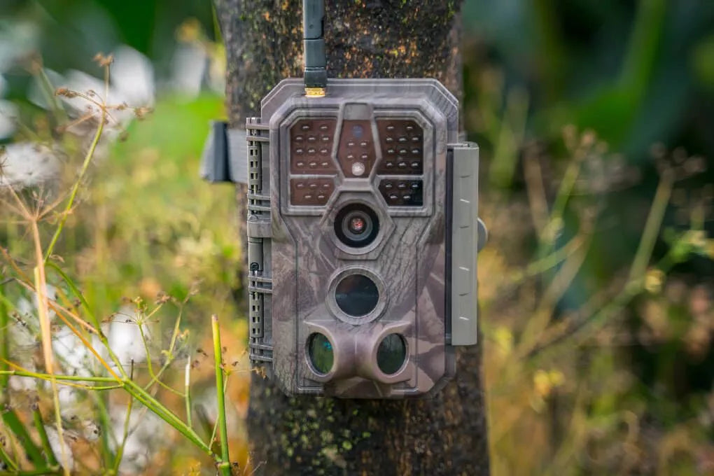 The Best Cellular Trail Cameras