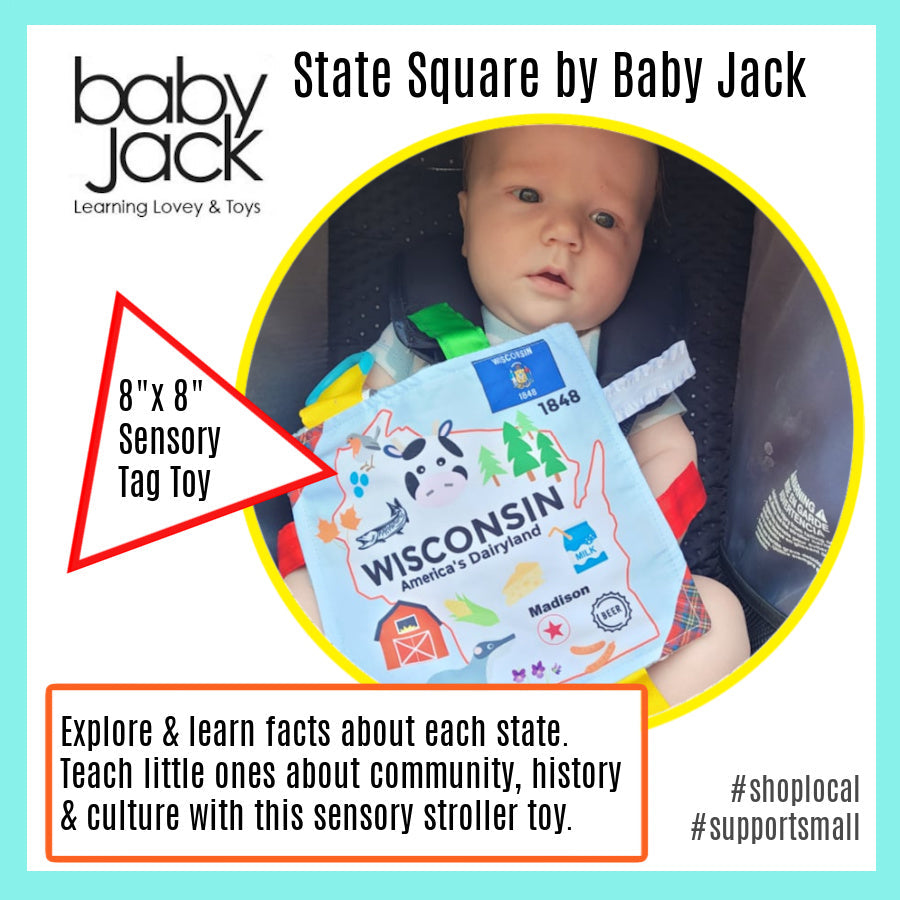 BabyJackCo 8x8 City and State Crinkle Tag Squares Wisconsin