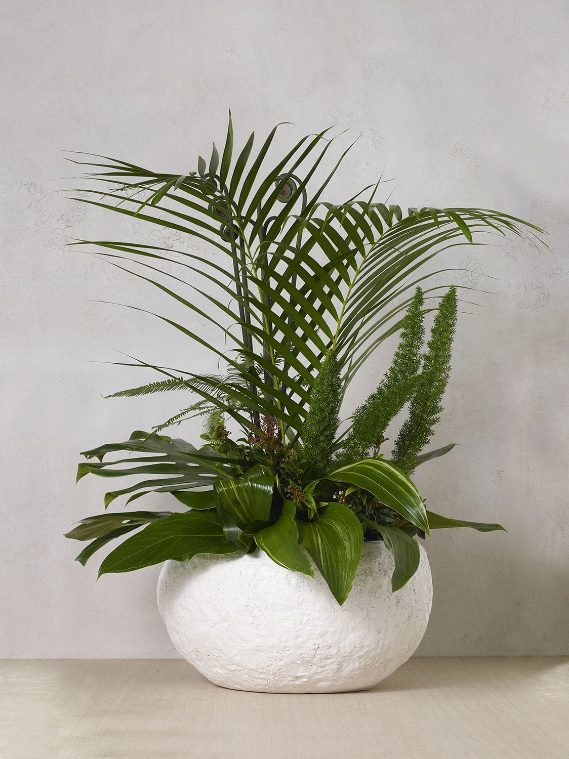 Tahiti Bowl Planter