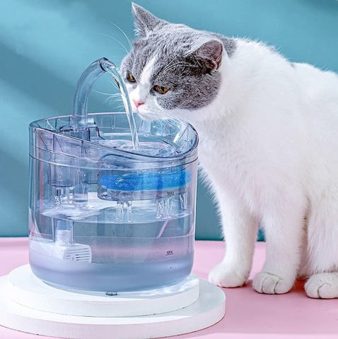 Agua Fresca y Purificada Siempre