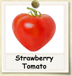 German Strawberry Tomato