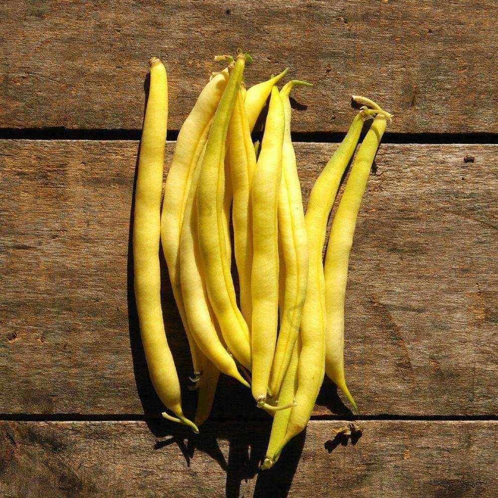 Yellow Wax Bean