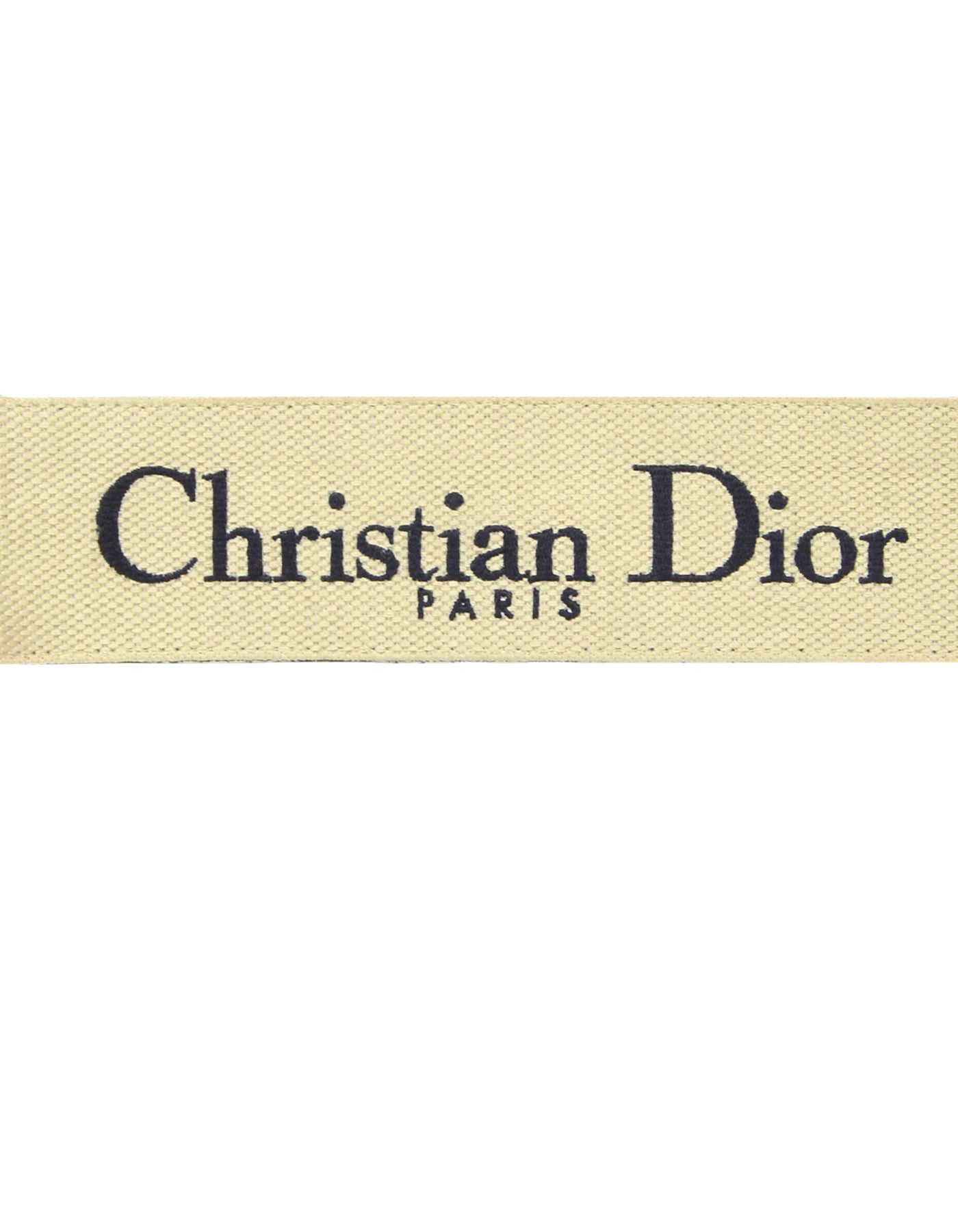 Christian Dior Blue Embroidered Canvas Book Shoulder Strap