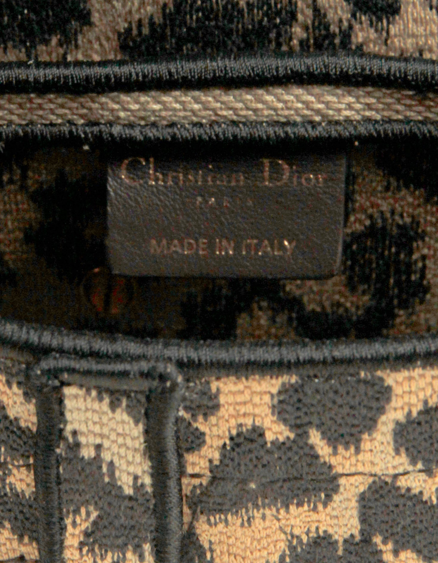 Christian Dior 2021 Mizza Embroidery Leopard Print Saddle Bag
