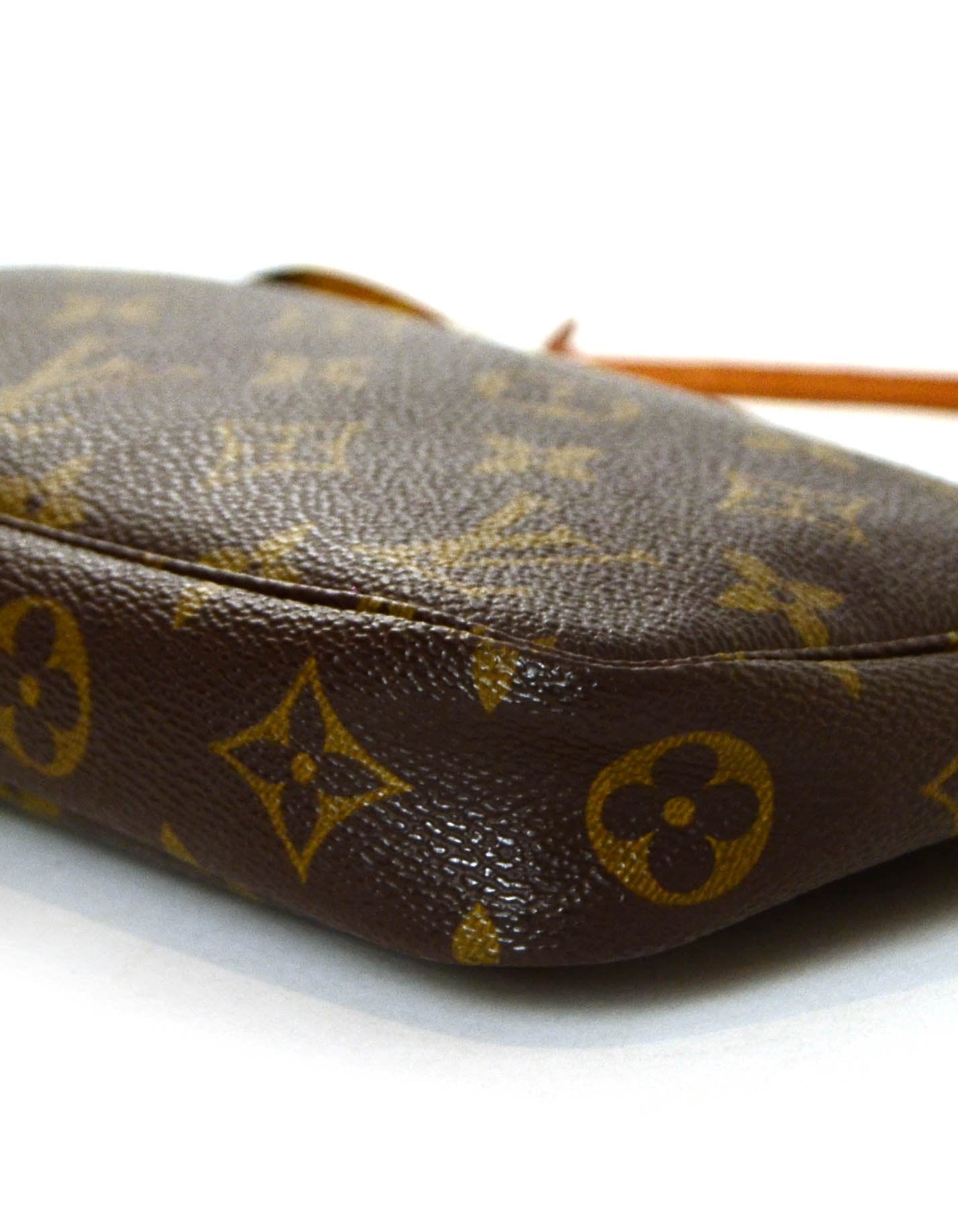 Louis Vuitton Monogram Canvas Pochette Accessories Bag