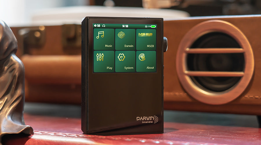 Supports up to DSD256 / PCM 384kHz