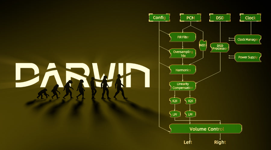 The Darwin architecture is the in-house developed Hi-res audio processing architecture by HiBy