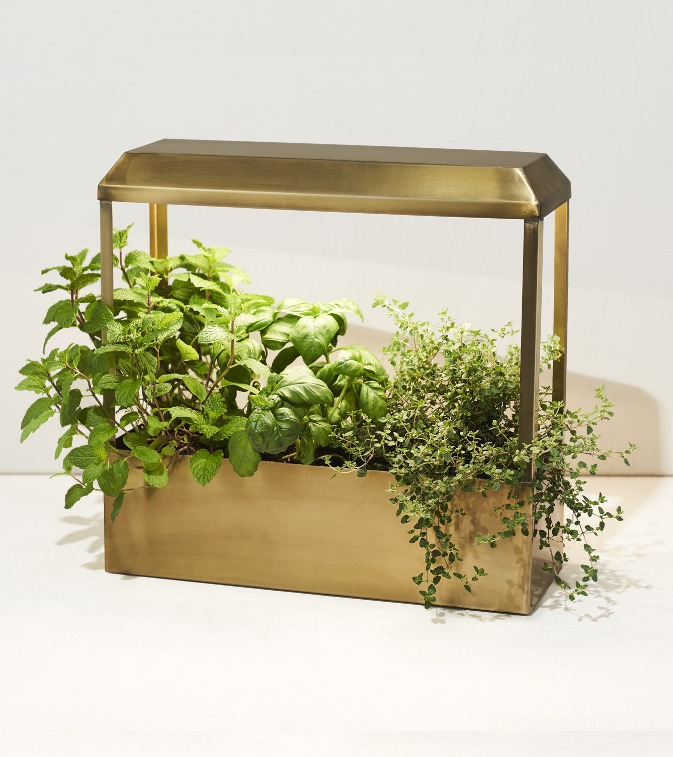 Smart Growhouse