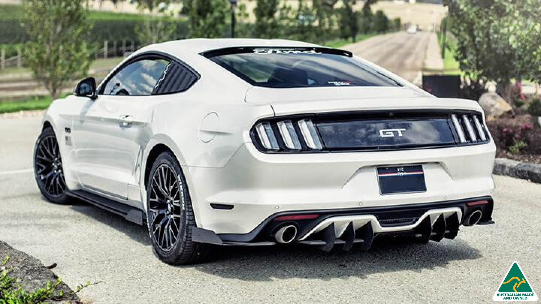 GT Mustang S550 FM Rear Spat Winglets (Pair)