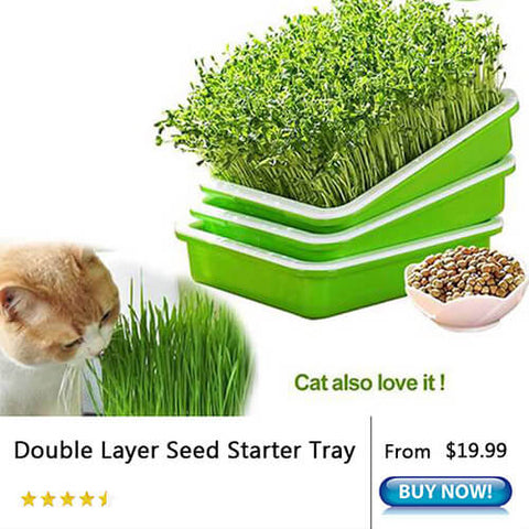 Best Gardening Gifts Gifts For Gardeners Who Have Everything Luckybudmall